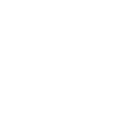 Brightspace